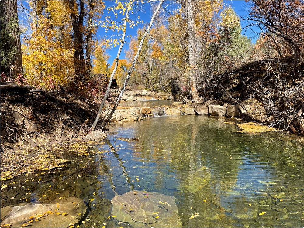 creek in fall